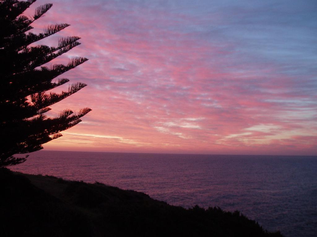 Sea Whispers Bed & Breakfast Kiama Eksteriør bilde