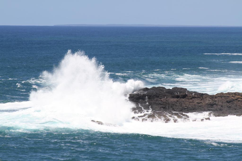 Sea Whispers Bed & Breakfast Kiama Eksteriør bilde